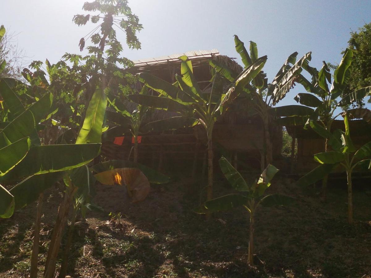 Private Beach House Maloka Surf Puerto Limon Exterior foto